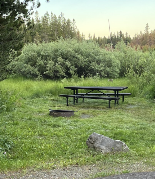 A picnic table sits on grassy ground surrounded by bushes and trees in a serene outdoor setting.