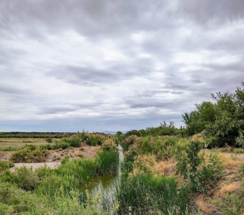 A serene landscape featuring a narrow waterway surrounded by lush greenery and overcast skies.