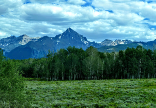 A scenic view of mountains under a cloudy sky, with a foreground of green trees and grassy fields.