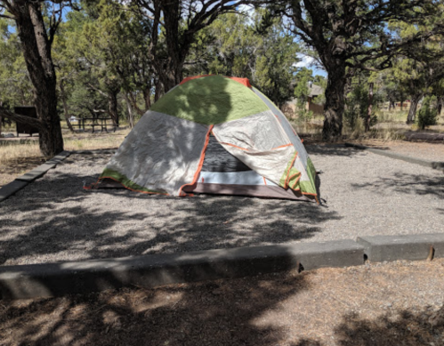 A green and white tent set up on a gravel campsite surrounded by trees and shaded areas.