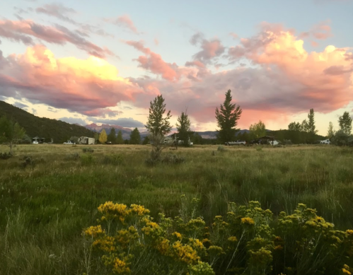 A serene landscape featuring a grassy field, colorful clouds at sunset, and distant trees and mountains.