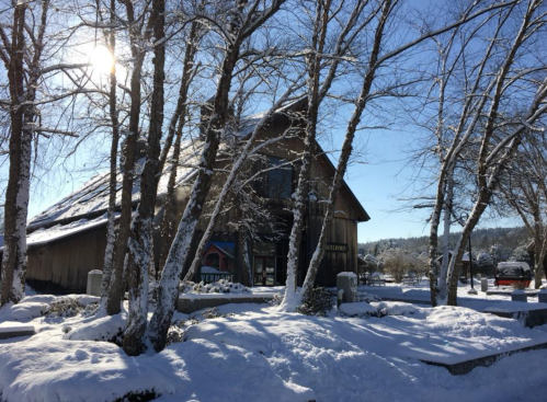 A snowy landscape with bare trees and a rustic wooden building under a clear blue sky. Sunlight shines through the branches.