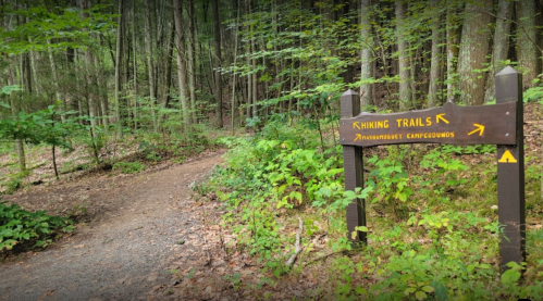 A wooden sign points to hiking trails and campgrounds in a lush, green forest. A dirt path leads into the woods.