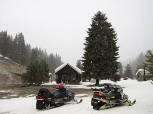 Snowmobiles parked in a snowy landscape with a cabin and tall trees in the background, under a gray, snowy sky.