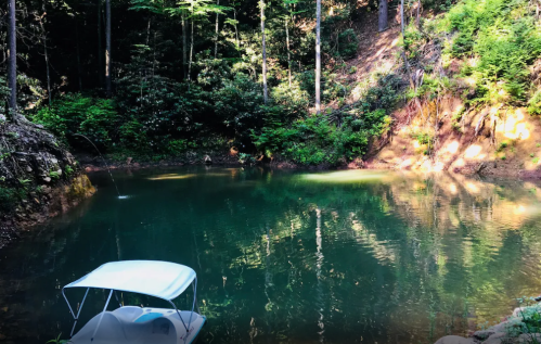 A serene forest pond with clear water, surrounded by lush greenery and a small boat moored at the edge.