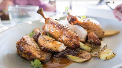 A plate of roasted chicken pieces garnished with herbs, served with vegetables and a savory sauce.