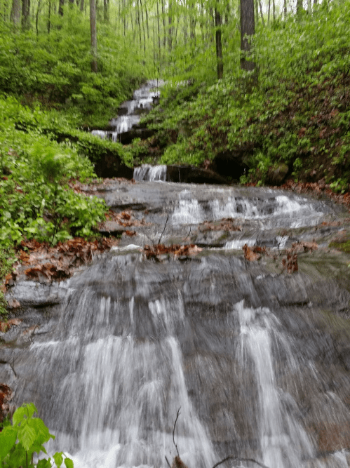 A serene forest scene featuring a cascading waterfall surrounded by lush greenery and fallen leaves.