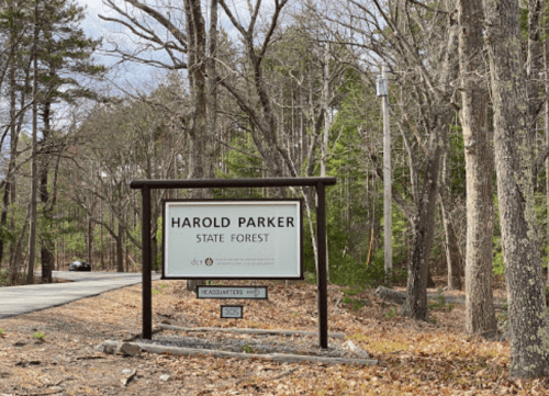 Sign for Harold Parker State Forest, surrounded by trees and fallen leaves, with a road visible in the background.