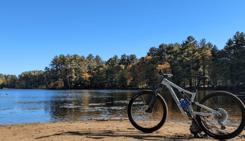 A mountain bike rests on the sandy shore of a calm lake, surrounded by trees and a clear blue sky.