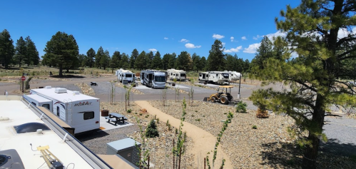 A scenic RV park with several parked RVs, surrounded by trees and a clear blue sky.