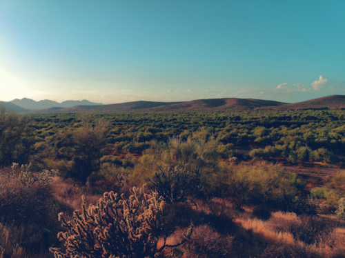 A serene landscape featuring rolling hills, lush greenery, and a clear blue sky in a desert setting.
