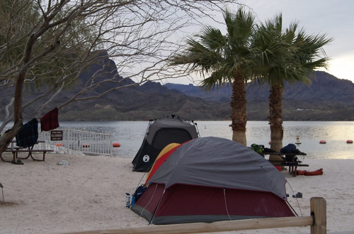 Tents set up on a sandy beach by a lake, with palm trees and mountains in the background under a cloudy sky.
