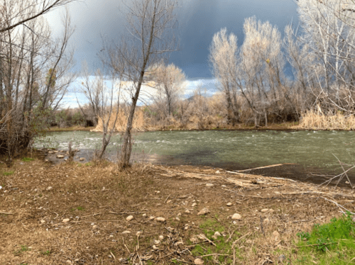 A serene river scene with bare trees and cloudy skies, surrounded by grassy banks and scattered rocks.