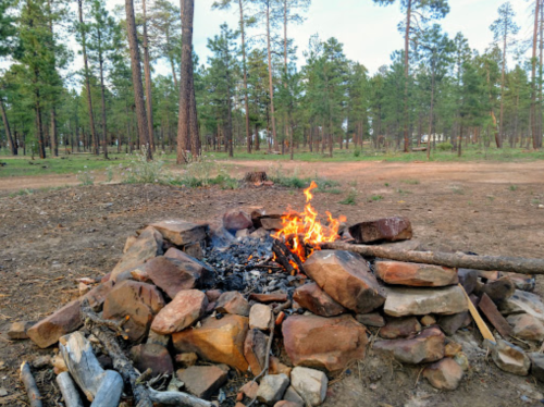 A campfire burns in a stone fire pit, surrounded by trees in a forested area.
