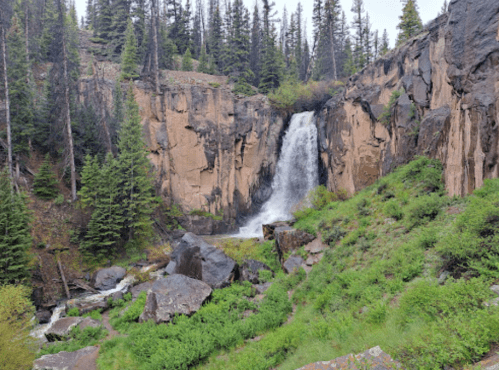 A scenic waterfall cascading down rocky cliffs, surrounded by lush greenery and tall pine trees.