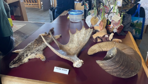 A table displays various natural items, including animal pelts, antlers, and shells, with a sign that says "PLEASE TOUCH."