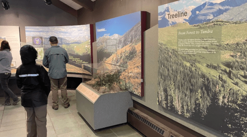 Visitors explore an exhibit on treelines and ecosystems, with informative displays and a model in a nature center.