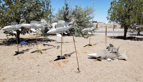 A group of metallic fish sculptures on wooden stakes in a dry, sandy area with sparse vegetation.