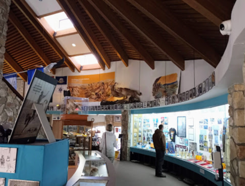 Interior of a museum featuring exhibits, displays, and a high wooden ceiling with natural light. Visitors are exploring.