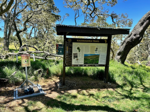 Sign for the Kalalau Trail surrounded by trees and grass, with a trail marker nearby.