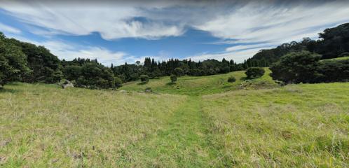 A lush green landscape with rolling hills, trees, and a clear blue sky. A path leads through the grassy field.