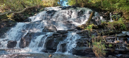 A cascading waterfall flows over dark rocks, surrounded by lush green foliage and sunlight filtering through the trees.