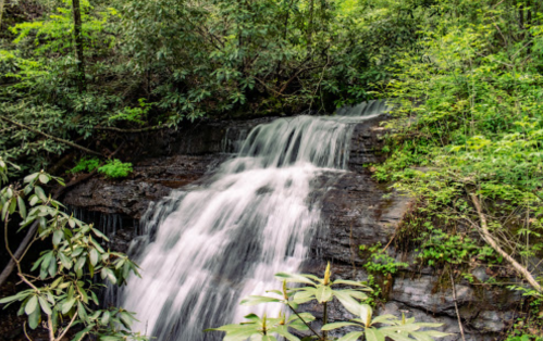 A serene waterfall cascading over rocks, surrounded by lush green foliage and trees.