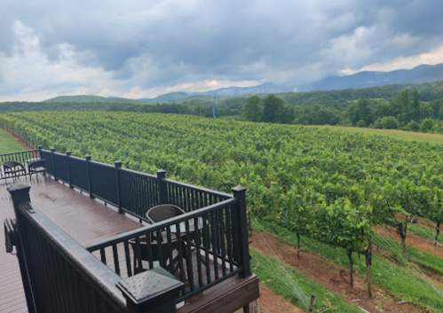 A scenic view of a vineyard with lush green rows, under a cloudy sky, seen from a wooden deck.