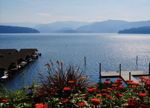 A serene lake view with mountains in the background, surrounded by vibrant flowers and boat docks.