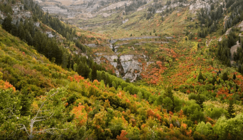 A scenic valley filled with vibrant autumn foliage, featuring green trees and patches of red and orange leaves.