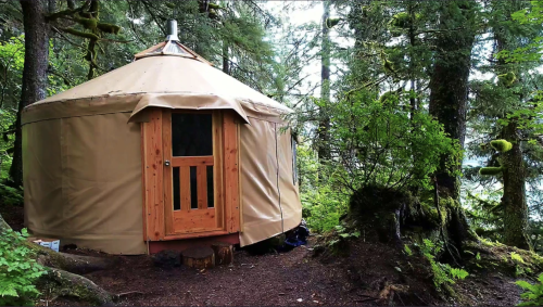 A cozy yurt nestled among lush green trees in a forest setting.