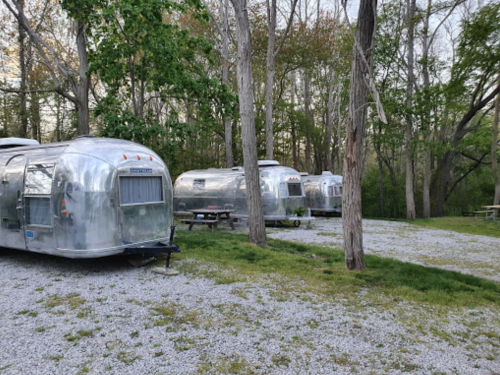 A row of vintage silver Airstream trailers parked among trees in a gravel area, with picnic tables nearby.