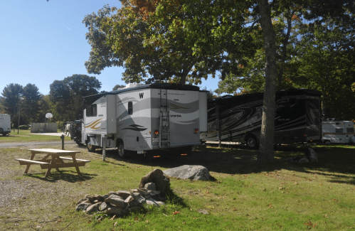 Two RVs parked in a grassy area with trees, a picnic table, and a fire pit nearby.