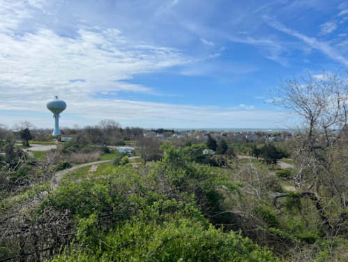 A scenic view of a landscape with a water tower, greenery, and a cloudy blue sky in the background.