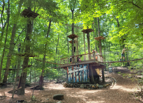 A treetop adventure course in a lush green forest, featuring wooden platforms and ropes for climbing.