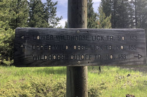 Wooden trail sign with directions for Lower Wildhorse Lick, Upper Wildhorse Lick, and Wildhorse Cutoff trails.