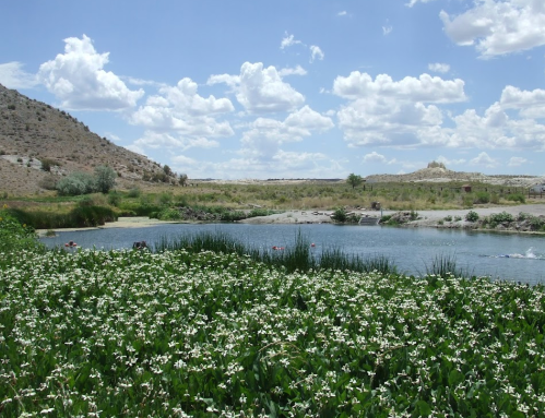 A serene landscape featuring a pond surrounded by white flowers, with hills and fluffy clouds in the background.