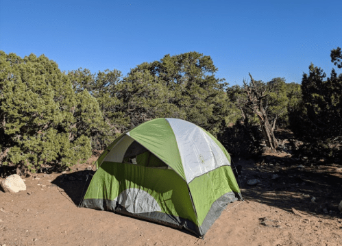 A green and gray tent set up in a natural area surrounded by trees and clear blue sky.