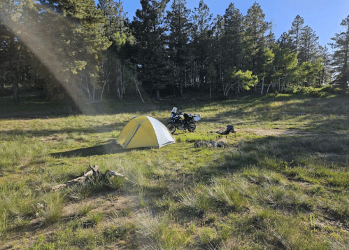 A yellow tent set up in a grassy clearing surrounded by trees, with a bicycle and gear nearby.