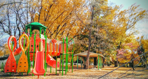 Colorful playground equipment surrounded by trees with autumn leaves in a sunny park setting.