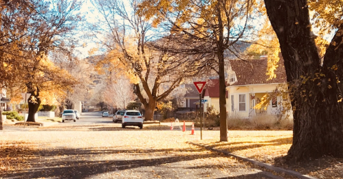 A quiet street lined with trees in autumn, covered in yellow leaves, with a few parked cars and a yield sign visible.