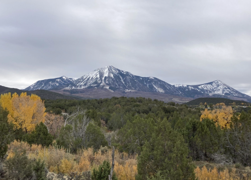 Snow-capped mountains rise above a landscape of autumn foliage and evergreen trees under a cloudy sky.
