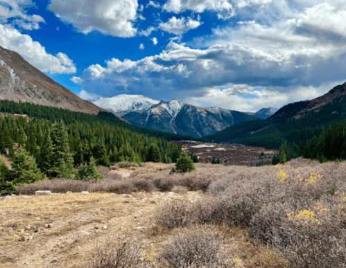 A scenic mountain landscape with snow-capped peaks, lush green trees, and a cloudy blue sky.