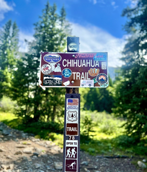 A trail sign for "Chihuahua Trail" covered in stickers, surrounded by trees and a blue sky. Trail 78 is open.