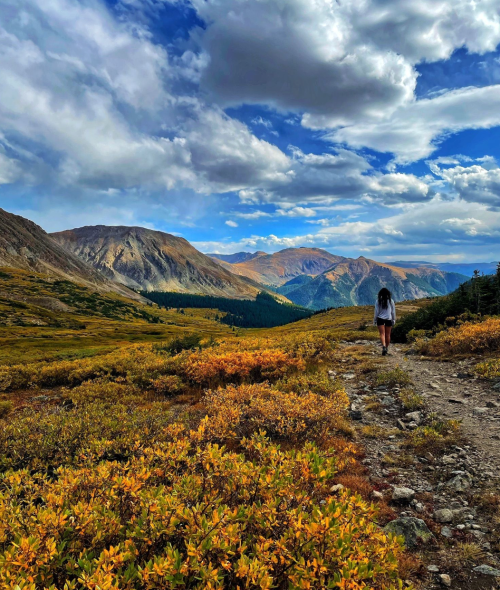 A person walks along a rocky path through vibrant autumn foliage, with mountains and a cloudy sky in the background.