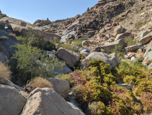 Rocky landscape with scattered boulders and patches of green vegetation under a clear blue sky.