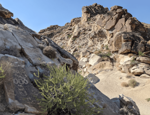 Petroglyphs on a rocky surface with a desert landscape and rugged hills in the background under a clear blue sky.