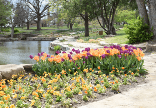 Colorful tulips and pansies bloom along a stone path by a serene pond, surrounded by lush greenery and trees.