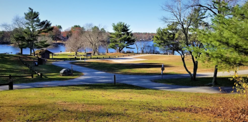 A serene lakeside view with trees, a clear sky, and a winding path leading to a picnic area.