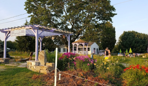 A colorful garden with flowers, a wooden pergola, and a small building in the background, under a clear sky.